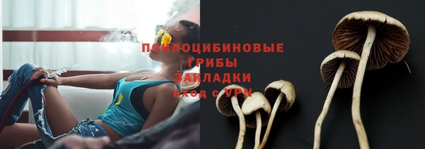 mix Алексин