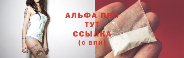 apvp Алзамай