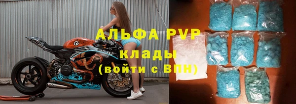 apvp Алзамай