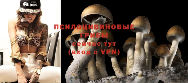 mix Алексин