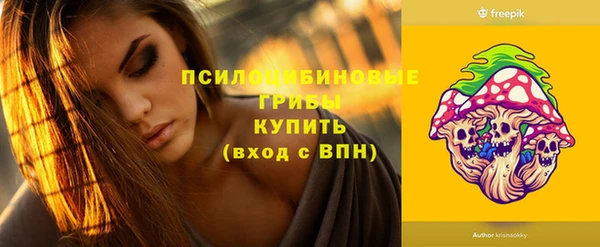 apvp Алзамай